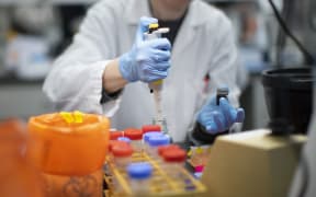 A researcher works in a lab that is developing testing for the COVID-19 coronavirus.