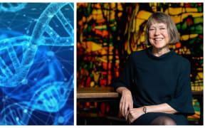 Graphic of 
DNZ and  image of Dr Hilary Longhurst