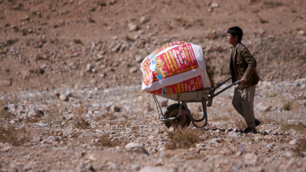 FORMER NZDF FIRING RANGE, BAMYAN — A boy crosses one of the ranges with a load of brushwood. Households in the villages surrounding the range are poor and many cannot afford electricity or gas so rely on the firewood.