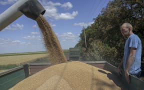Wheat being harvested near Mykolaiv, Ukraine, on 21 July 2022,