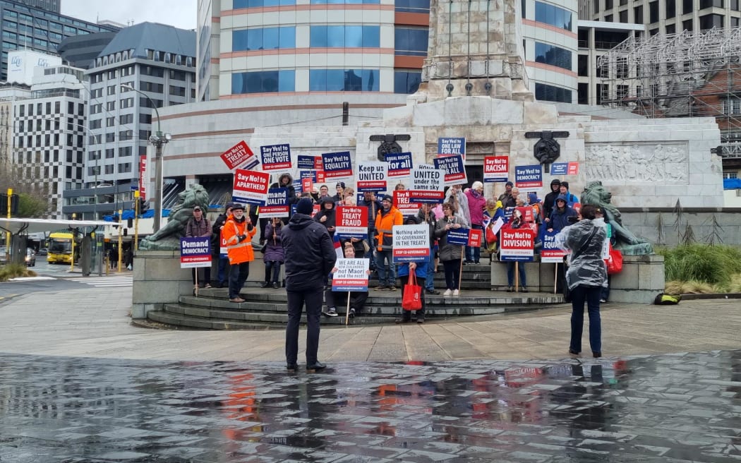 Anti co-governance demonstrators in Wellington.