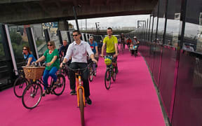 Auckland's popular $15 million dollar pink-paved bike path needs resurfacing a year after it opened.