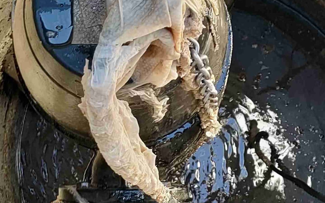 The Jenkins pump station in Riwaka, which serves only 50 properties, has caused one third of Tasman's pump station blockages this year - primarily from flushed wet wipes.