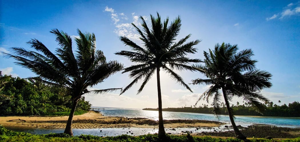 Palm Trees in the scenic Cook Islands.