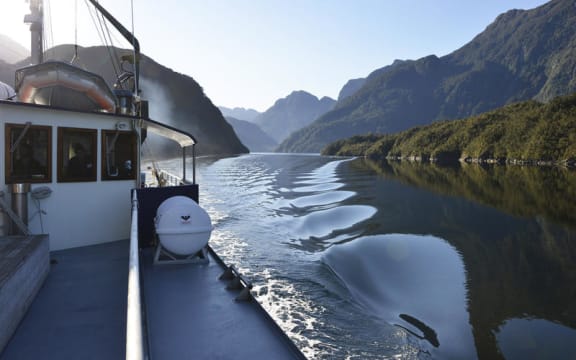 Tamatea / Dusky Sound