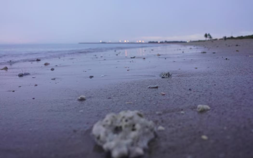 The calm before Cyclone Mitchell approaches Exmouth later today.  (ABC News: Robert Koenigluck)
