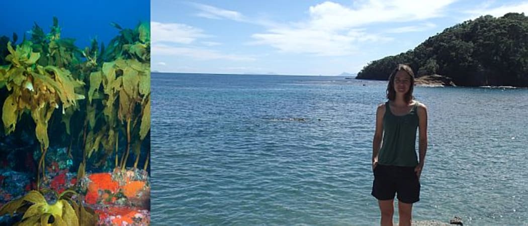 Kirsten Rodgers is studying the effect of climate change on the common kelp, Ecklonia radiata, both in experimental set-ups and in the Leigh marine reserve.