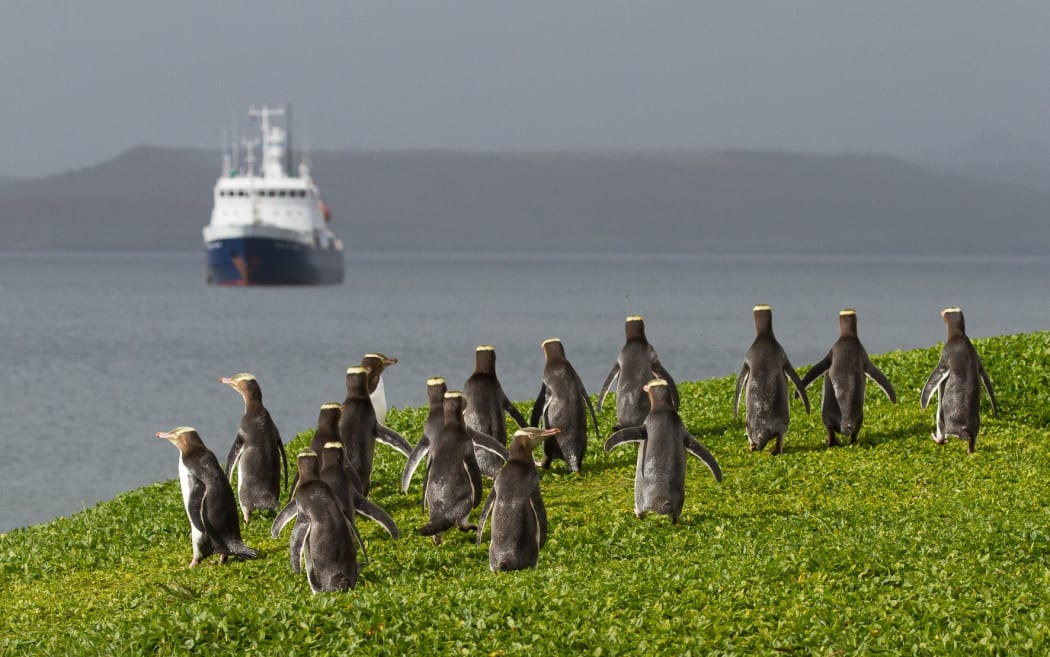 A photo from Heritage Expeditions.