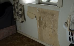 Mould in the living room.