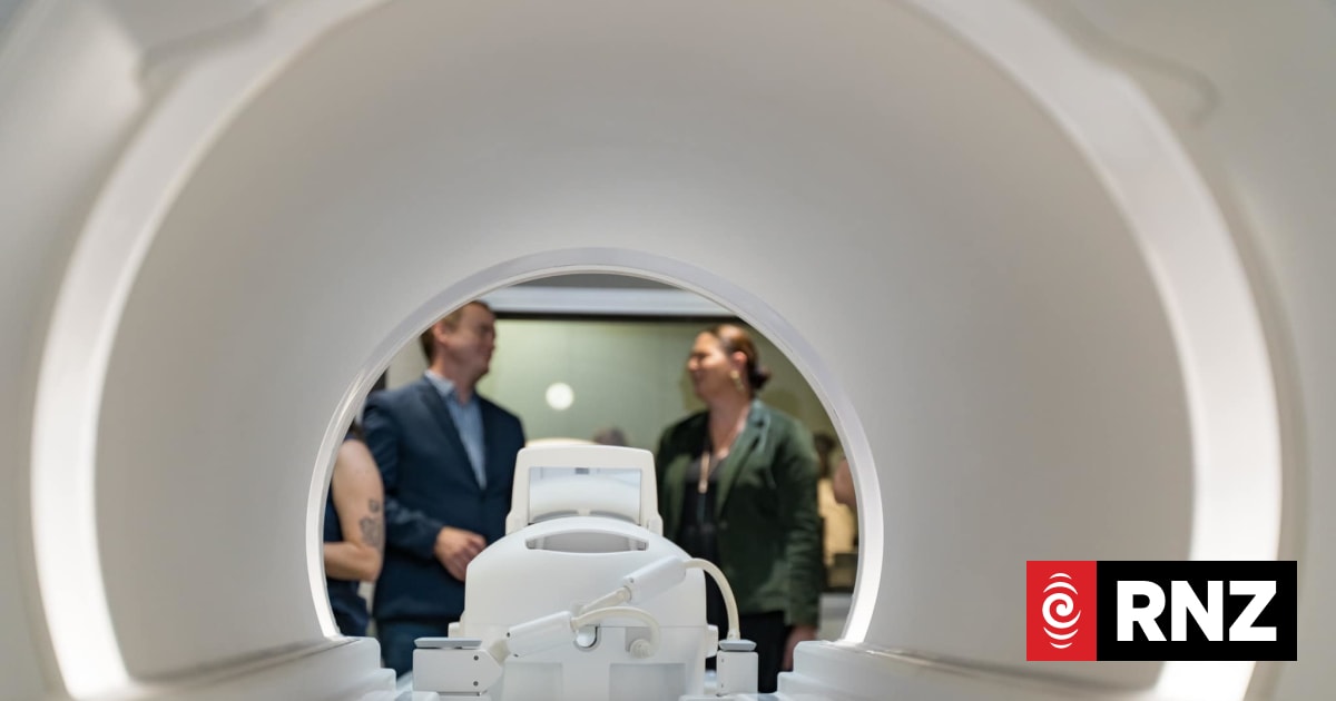 Trained neurologists quitting NZ due to lack of jobs and funding, experts say