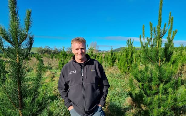 Ingka Investments Forestland country manager Kelvin Meredith