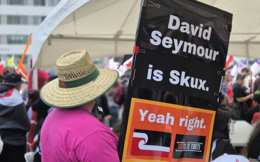 Dave Moller from Palmerston North attened the hīkoi in Wellingto to honour Te Tiriti, and said if he can make people smile while doing it, great.