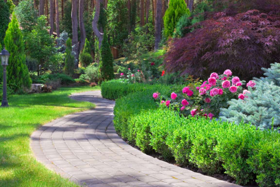 Garden border