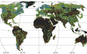 The new study presents the most extensive map of lake color, revealing that most of the world’s lakes are already green-brown rather than blue.