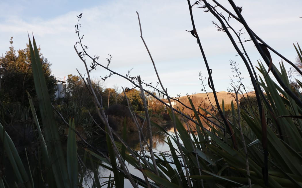 The Ōpāwaho Heathcote river, Canterbury, in July 2024.