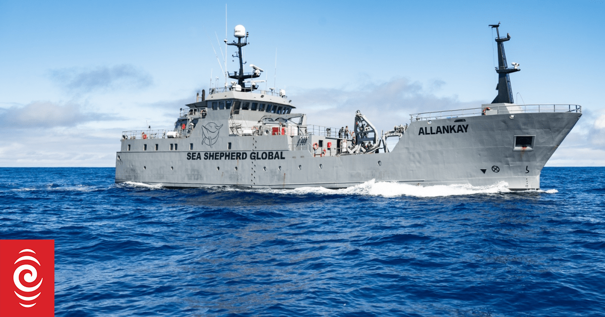 Sea Shepherd vessel to call into Wellington on way to monitor krill harvest in Antarctica