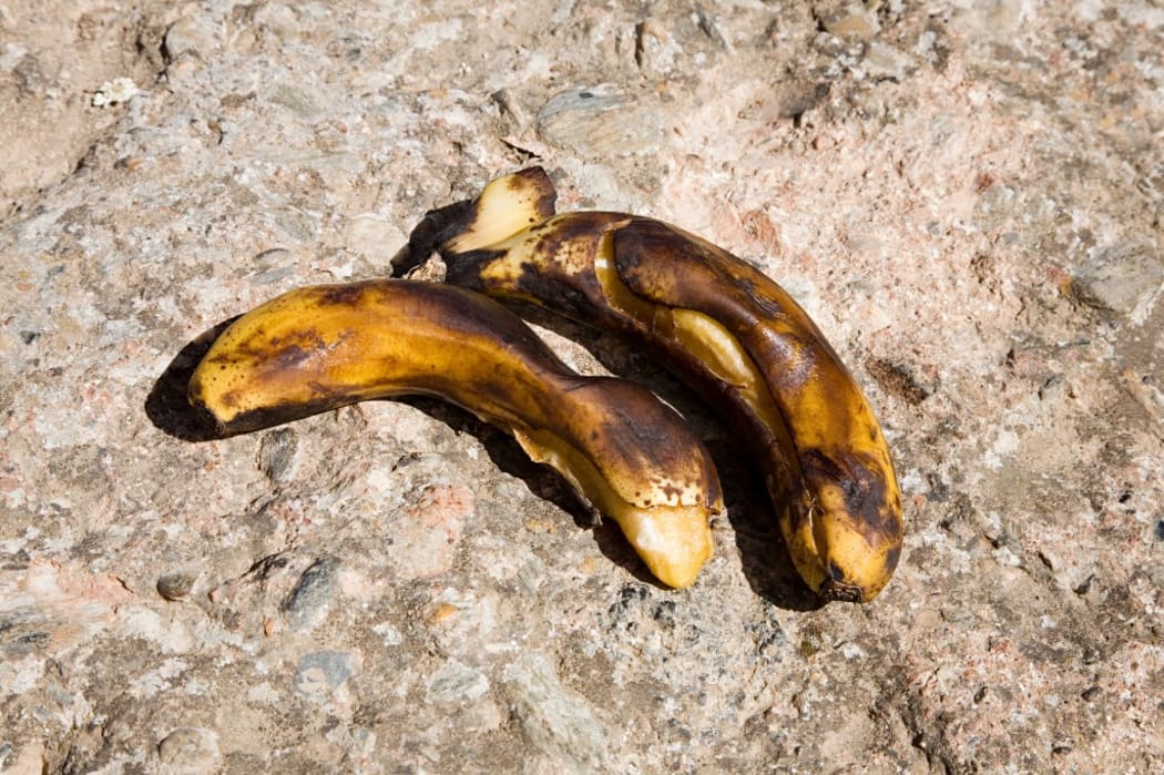 Two rotting bananas (Photo by Julian Ward / Image Source / Image Source via AFP)