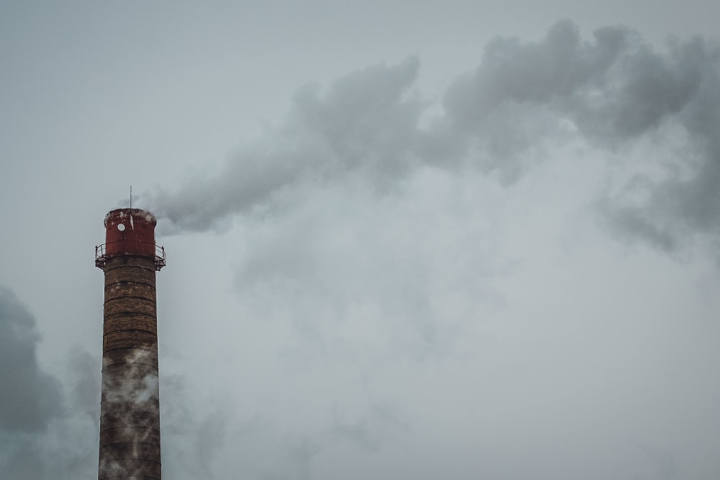 Carbon emissions have not yet peaked in many countries the report says.