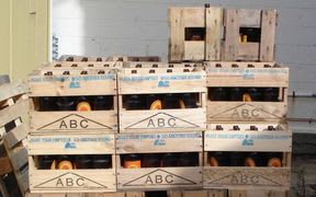 crates