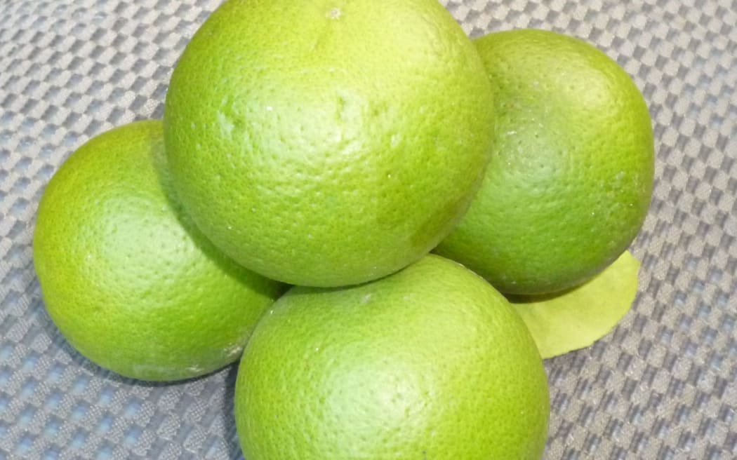 Tongan oranges