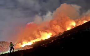 A firefighter working to put out a fire on Auckland's Māngere Mountain on 18 January.