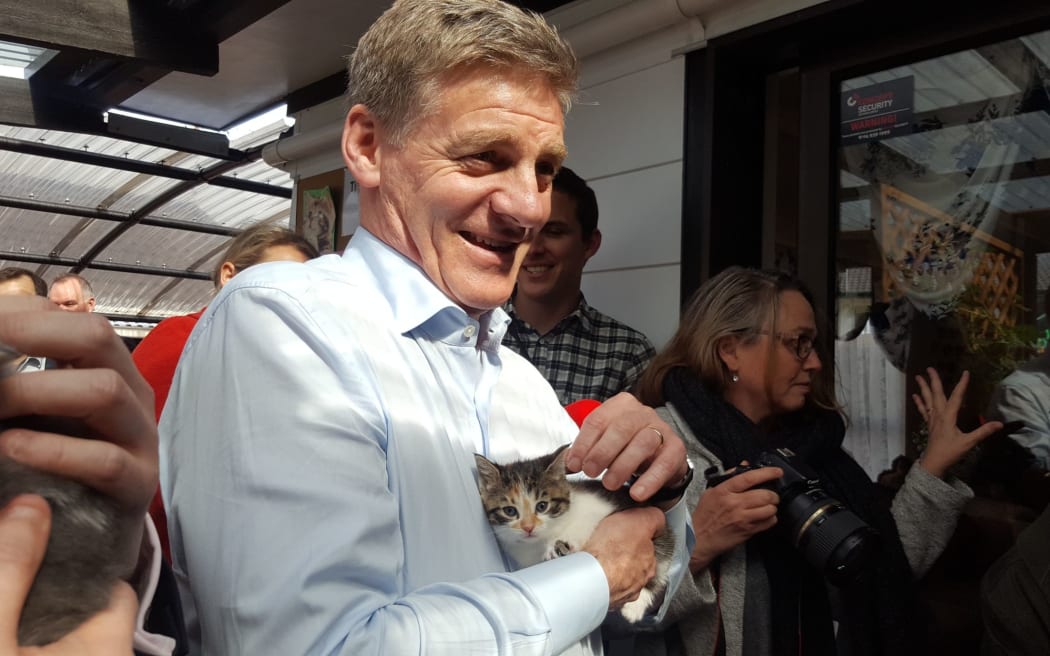 Bill English - and cat - on the campaign trail.