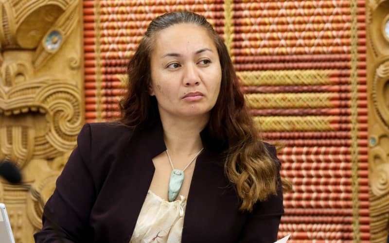 Green MP Marama Davidson in the Maori Affairs Select Committee 2017.