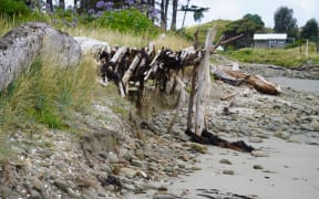 Erosion at the northern end of Mahanga Beach after Cyclone Gabrielle.