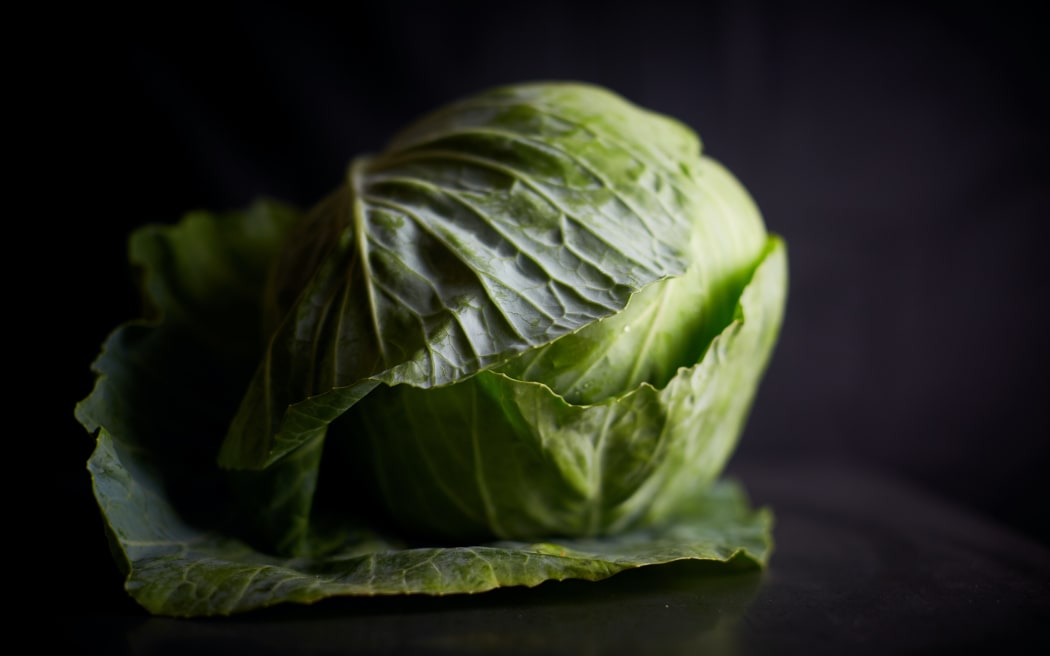 Whole cabbage on a black background