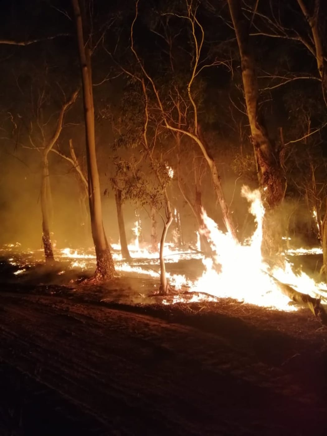 Australia bush fire.