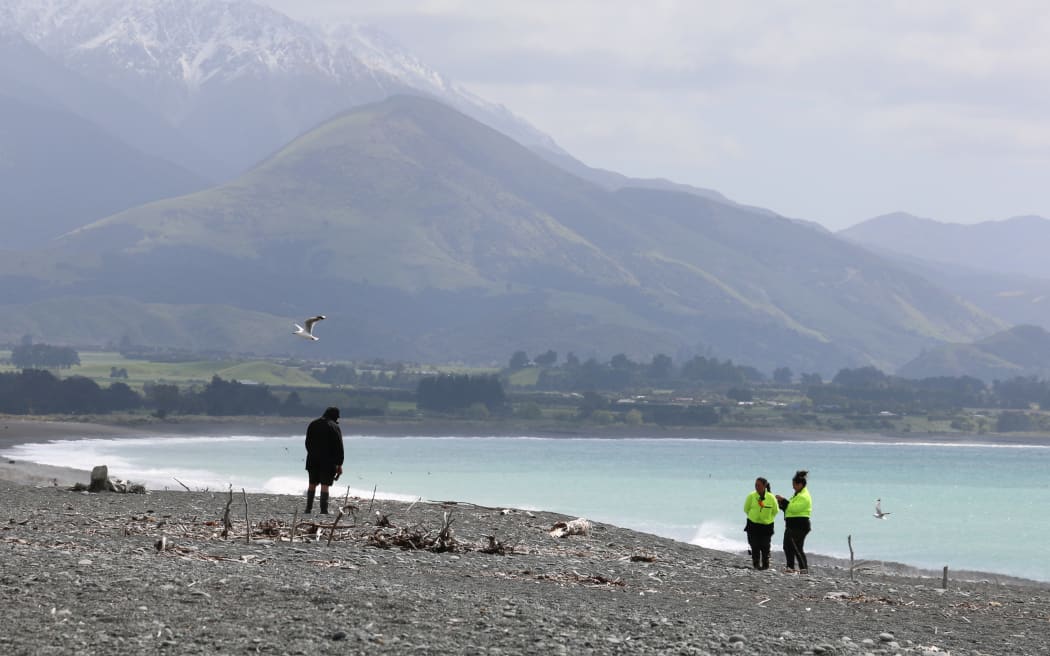 Finding nests on the beach at Kaikōura.