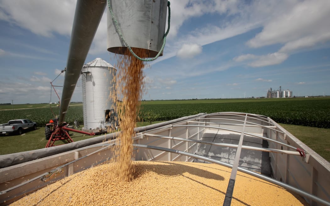 Soybeans loaded from a silo to a truck.