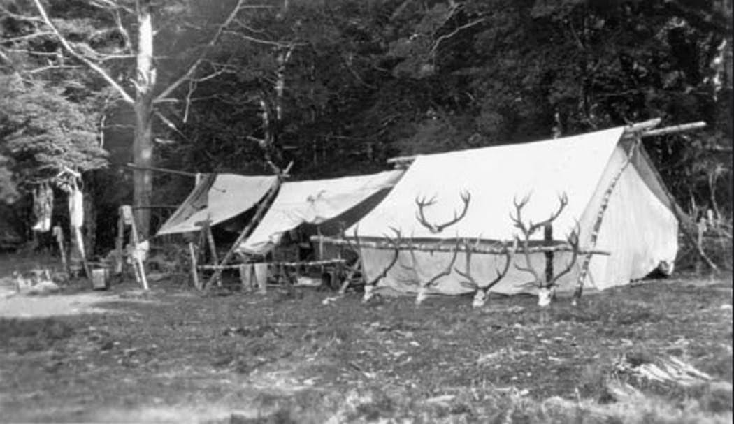 Deer cullers camp with white tents