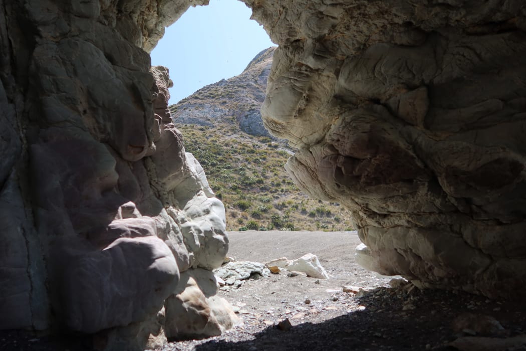Many parts of Marlborough's east coast are considered significant natural areas