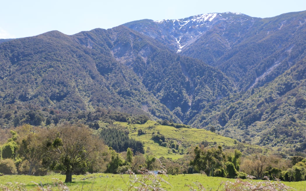 Mt Fyffe
