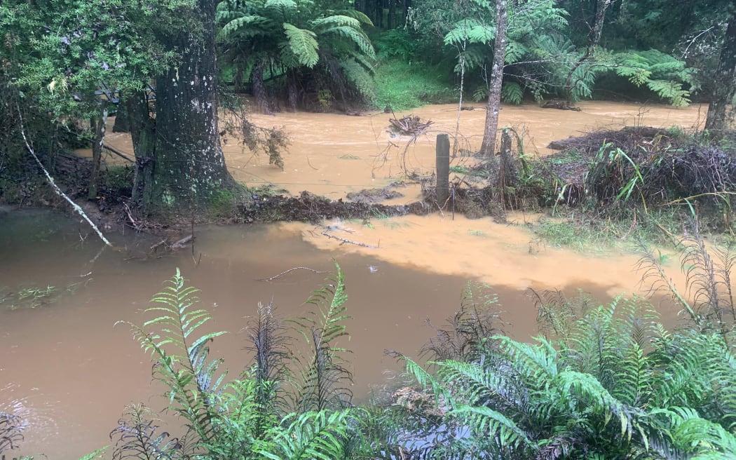 Sediment-laden water enters Shayne Tobin's property near Kaikohe any time it rains heavily.