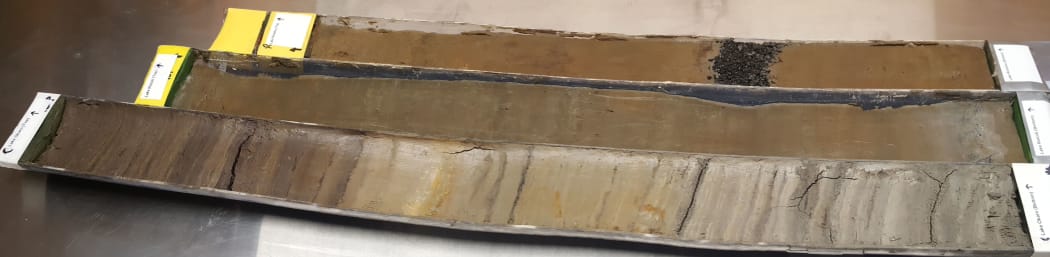 Sediment cores from Lakes Okaro (bottom), Rotoiti (middle) and Rotoehu top), in the Rotorua region, show who nearby lakes can have very different sediment and histories The dark gravel band is from the Tarawera eruption.