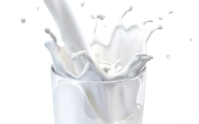 milk