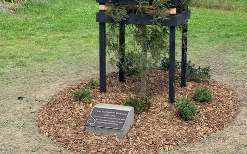 A memorial plaque for Fyfa Dawson close to the accident site in Christchurch. The words on the plaque were written by Fyfa in an Instagram post.