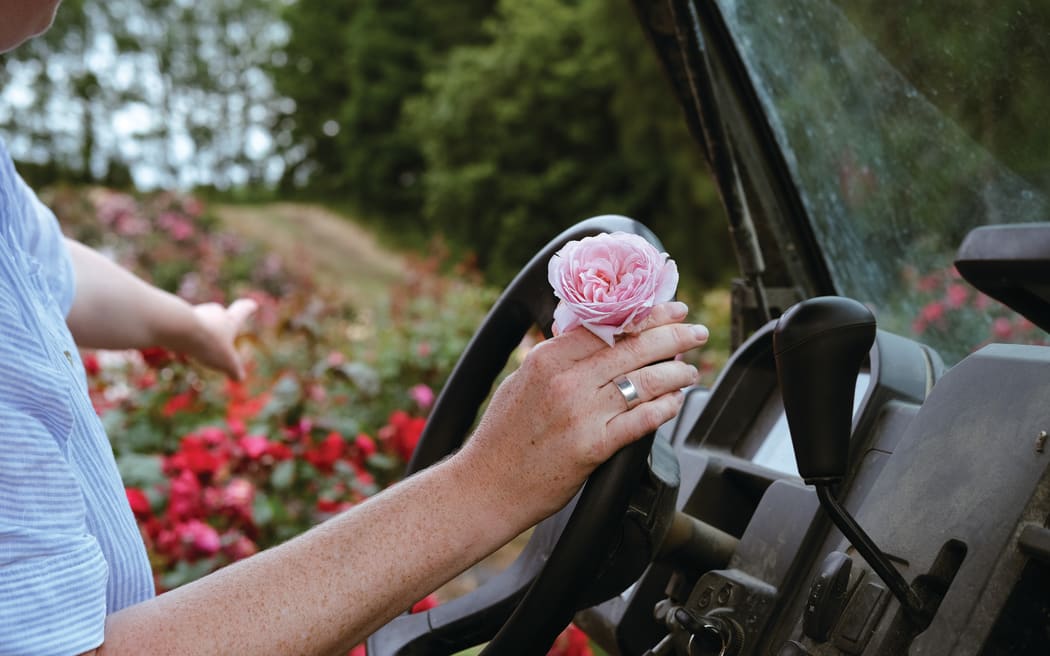 "We have an emotional connection to all the roses we grow, especially the ones that we've bred," Samantha says. "You don't know where the roses will end up, whether they'll be a birthday gift or planted as a memorial."