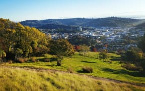 A view of Nelson from the Botanical Gardens.