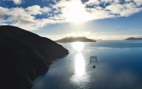 New Zealand King Salmon farm