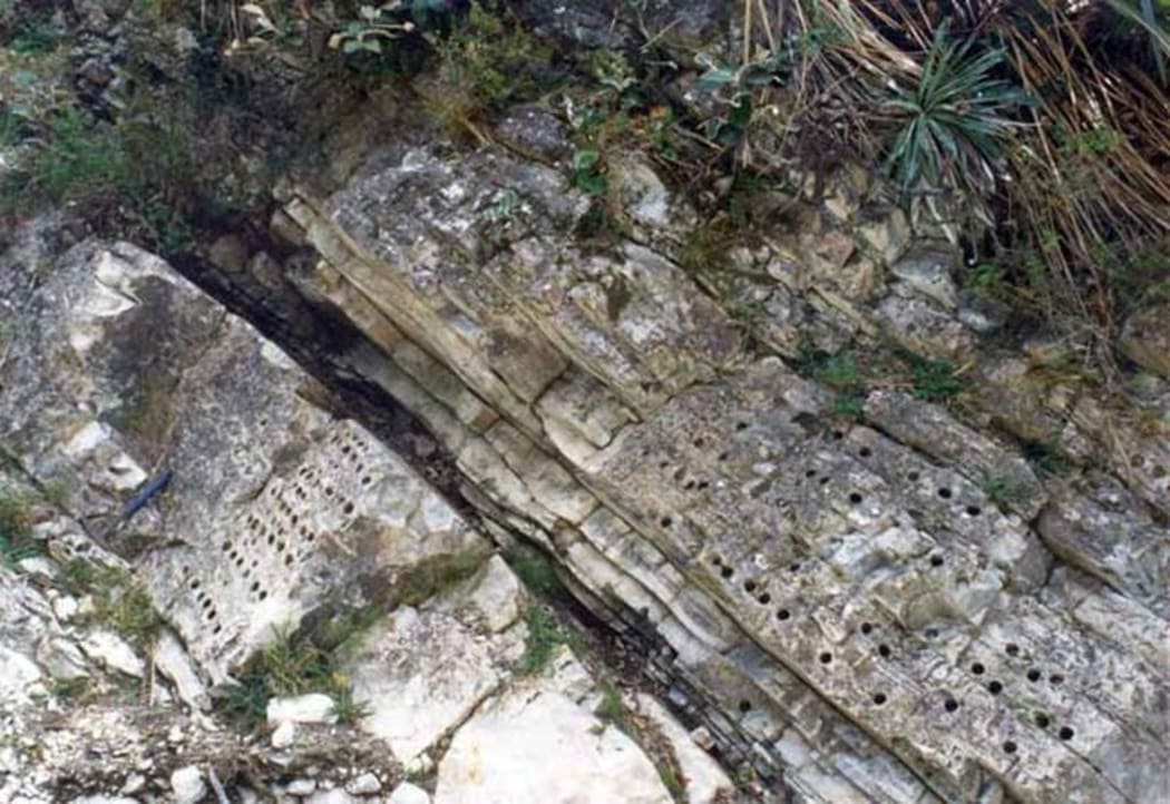 Samples taken from core samples at Woodside Creek helped prove that a massive asteroid or comet impact caused the extinction of the dinosaurs 65 million years ago.