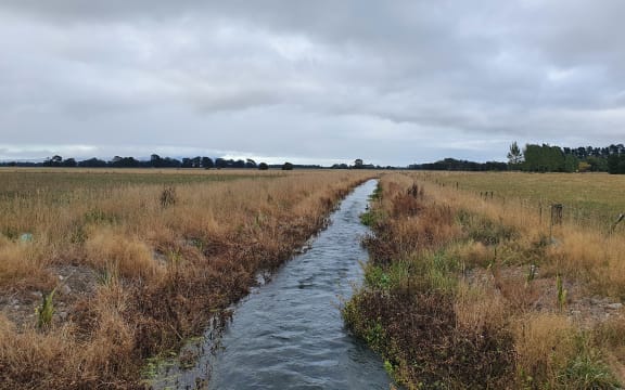 A water race in South Wairarapa