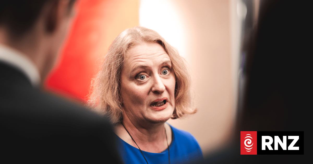 Chief Executive of Oranga Tamariki resigns | RNZ