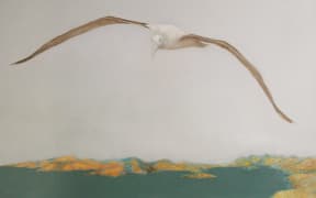 Toroa over Whakaraupo by Beverly Rhodes