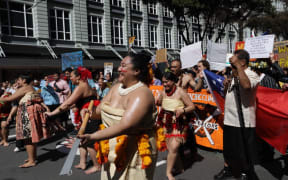 Marchers at the Wellington climate strike.