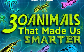 30 Animals logo (Supplied)