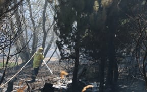 A fire fighter dampens down hotspots of a wildfire near Kirwee. February 5, 2024.