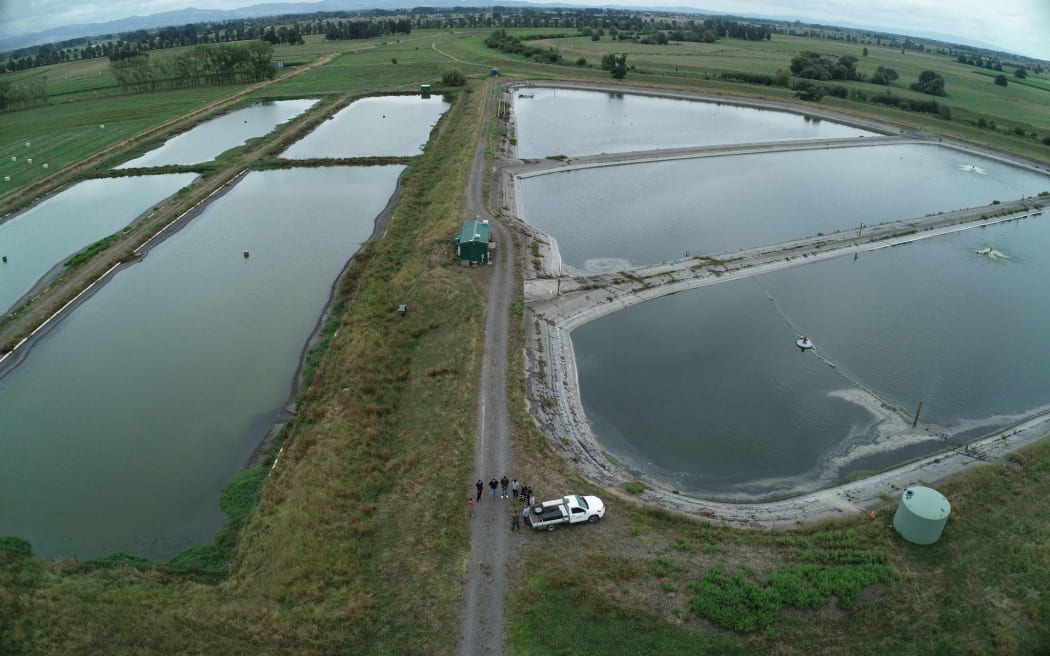 Paeroa Wastewater Treatment Plant